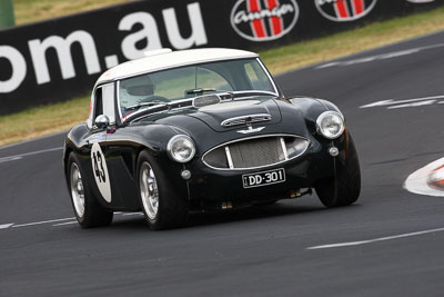 43;1959-Austin-Healey-Sebring-Replica;21-March-2008;Australia;Bathurst;FOSC;Festival-of-Sporting-Cars;Group-S;Mt-Panorama;NSW;New-South-Wales;Peter-Williams;auto;motorsport;racing;super-telephoto