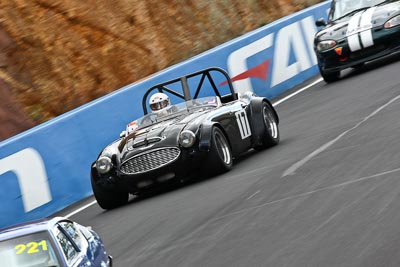 17;1959-Austin-Healey-3000;22-March-2008;Australia;Bathurst;Cameron-Sell;FOSC;Festival-of-Sporting-Cars;Marque-and-Production-Sports;Mt-Panorama;NSW;New-South-Wales;auto;motorsport;racing;super-telephoto