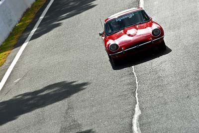 141;1969-Jaguar-E-Type;22-March-2008;Australia;Bathurst;FOSC;Festival-of-Sporting-Cars;Mt-Panorama;NSW;New-South-Wales;Peter-Walsh;Regularity;auto;motorsport;racing;super-telephoto