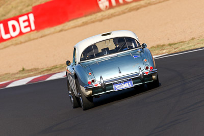 2;1959-Austin-Healey-3000;22-March-2008;Australia;Bathurst;FOSC;Festival-of-Sporting-Cars;John-Rowe;Marque-and-Production-Sports;Mt-Panorama;NSW;New-South-Wales;auto;motorsport;racing;super-telephoto