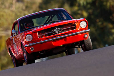 212;1964-Ford-Mustang;23-March-2008;Australia;Bathurst;Bill-Trengrove;FOSC;Festival-of-Sporting-Cars;Group-N;Historic-Touring-Cars;Mt-Panorama;NSW;New-South-Wales;auto;classic;motorsport;racing;super-telephoto;vintage