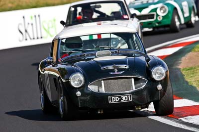 43;1959-Austin-Healey-Sebring-Replica;23-March-2008;Australia;Bathurst;FOSC;Festival-of-Sporting-Cars;Group-S;Mt-Panorama;NSW;New-South-Wales;Peter-Williams;auto;motorsport;racing;super-telephoto