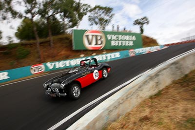 921;1955-Austin-Healey-1004;23-March-2008;Australia;Bathurst;Dipper;FOSC;Festival-of-Sporting-Cars;Geoff-Leake;Marque-and-Production-Sports;Mt-Panorama;NSW;New-South-Wales;auto;motorsport;racing;wide-angle