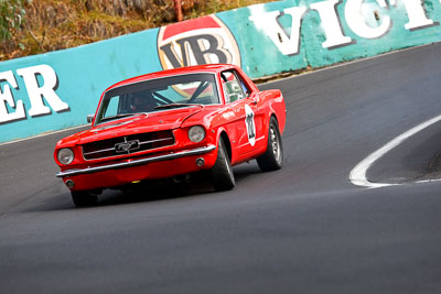 212;1964-Ford-Mustang;23-March-2008;Australia;Bathurst;Bill-Trengrove;FOSC;Festival-of-Sporting-Cars;Group-N;Historic-Touring-Cars;Mt-Panorama;NSW;New-South-Wales;auto;classic;motorsport;racing;super-telephoto;vintage