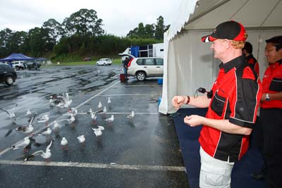 16-November-2008;ARC;Australia;Australian-Rally-Championship;Coffs-Coast;Coffs-Harbour;NSW;New-South-Wales;auto;motorsport;movement;racing;speed;wide-angle