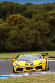 4;21-November-2008;Australia;Island-Magic;Lamborghini-Gallardo;Melbourne;PIARC;Phillip-Island;Sports-Cars;Ted-Huglin;VIC;Victoria;auto;motorsport;racing;super-telephoto