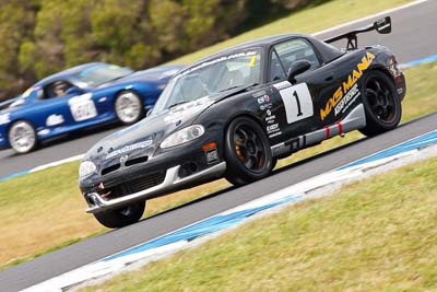 1;22-November-2008;Australia;Daniel-Deckers;David-Raddatz;Island-Magic;Mazda-MX‒5;Mazda-MX5;Mazda-Miata;Melbourne;PIARC;Phillip-Island;Sports-Cars;VIC;Victoria;auto;motorsport;racing;super-telephoto