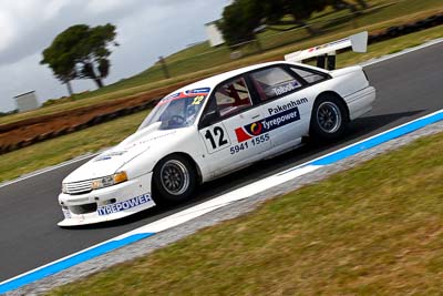 12;22-November-2008;Australia;Chas-Talbot;Holden-Commodore-VN;Island-Magic;Melbourne;PIARC;Phillip-Island;Sports-Sedans;VIC;Victoria;auto;motorsport;racing;telephoto