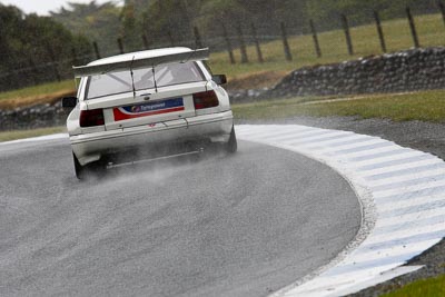 12;22-November-2008;Australia;Chas-Talbot;Holden-Commodore-VN;Island-Magic;Melbourne;PIARC;Phillip-Island;Sports-Sedans;VIC;Victoria;auto;motorsport;racing;super-telephoto