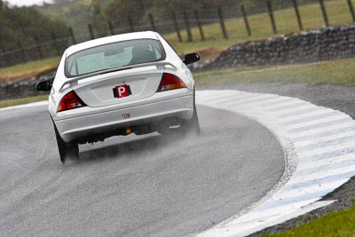 41;22-November-2008;Australia;Colin-Turner;Ford-Falcon-AU;Island-Magic;Melbourne;PIARC;Phillip-Island;Sports-Sedans;VIC;Victoria;auto;motorsport;racing;super-telephoto