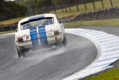 89;22-November-2008;Australia;Ford-Mustang;Graeme-Bell;Island-Magic;Melbourne;PIARC;Phillip-Island;Sports-Sedans;VIC;Victoria;auto;motorsport;racing;super-telephoto