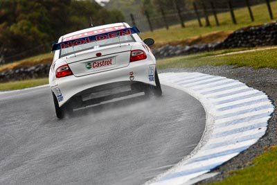 96;22-November-2008;Australia;Holden-Commodore-VT;Island-Magic;Melbourne;Milton-Seferis;PIARC;Phillip-Island;Sports-Sedans;VIC;Victoria;auto;motorsport;racing;super-telephoto