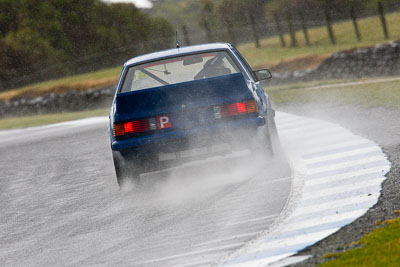 40;22-November-2008;Australia;Holden-Commodore;Island-Magic;Karl-Parsons;Melbourne;PIARC;Phillip-Island;Sports-Sedans;VIC;Victoria;auto;motorsport;racing;super-telephoto