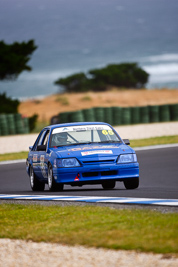 65;22-November-2008;Australia;Chris-Spiteri;Holden-Commodore;Improved-Production;Island-Magic;Melbourne;PIARC;Phillip-Island;VIC;Victoria;auto;motorsport;racing;super-telephoto