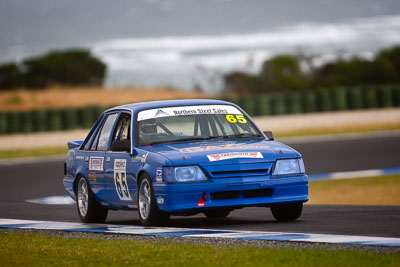 65;22-November-2008;Australia;Chris-Spiteri;Holden-Commodore;Improved-Production;Island-Magic;Melbourne;PIARC;Phillip-Island;VIC;Victoria;auto;motorsport;racing;super-telephoto