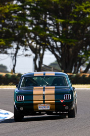 72;23-November-2008;Andy-Clempson;Australia;Ford-Mustang;Historic-Touring-Cars;Island-Magic;Melbourne;PIARC;Phillip-Island;VIC;Victoria;auto;classic;motorsport;racing;super-telephoto;vintage