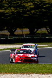 25;23-November-2008;Australia;Holden-Calibra;Island-Magic;Melbourne;Neil-Bryson;PIARC;Phillip-Island;Sports-Sedans;VIC;Victoria;auto;motorsport;racing;super-telephoto