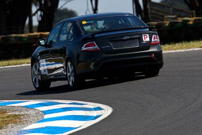 8;23-November-2008;Australia;Ford-Falcon-XR8;Improved-Production;Island-Magic;Melbourne;Nathan-Tinkler;PIARC;Phillip-Island;VIC;Victoria;auto;motorsport;racing;super-telephoto