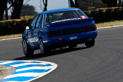 65;23-November-2008;Australia;Chris-Spiteri;Holden-Commodore;Improved-Production;Island-Magic;Melbourne;PIARC;Phillip-Island;VIC;Victoria;auto;motorsport;racing;super-telephoto