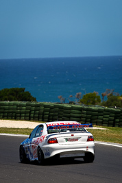 96;23-November-2008;Australia;Holden-Commodore-VT;Island-Magic;Melbourne;Milton-Seferis;PIARC;Phillip-Island;Sports-Sedans;VIC;Victoria;auto;motorsport;racing;super-telephoto