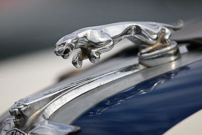 10-April-2009;Australia;Bathurst;FOSC;Festival-of-Sporting-Cars;Jaguar;Mt-Panorama;NSW;New-South-Wales;atmosphere;auto;brand;close‒up;detail;logo;motorsport;paddock;racing;super-telephoto