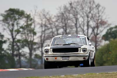 302;10-April-2009;1966-Ford-Mustang-Fastback;30366H;Australia;Bathurst;David-Livian;FOSC;Festival-of-Sporting-Cars;Mt-Panorama;NSW;New-South-Wales;Regularity;auto;motorsport;racing;super-telephoto