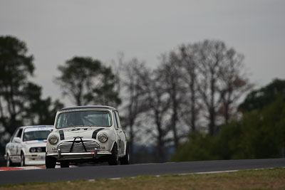 81;10-April-2009;1964-Morris-Cooper-S;Australia;Bathurst;FOSC;Festival-of-Sporting-Cars;Mark-Tett;Mt-Panorama;NSW;New-South-Wales;Sports-Touring;auto;motorsport;racing;super-telephoto