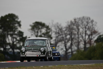 98;10-April-2009;1964-Morris-Cooper-S;Australia;Bathurst;FOSC;Festival-of-Sporting-Cars;Helen-Lindner;Mt-Panorama;NSW;New-South-Wales;Sports-Touring;auto;motorsport;racing;super-telephoto