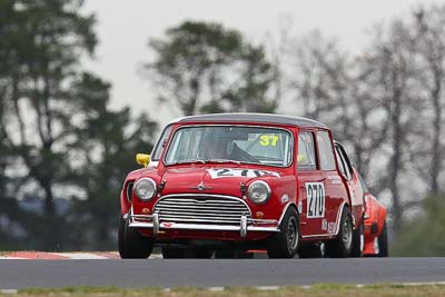 270;10-April-2009;1963-Morris-Cooper-S;Australia;Bathurst;FOSC;Festival-of-Sporting-Cars;John-Battersby;Mt-Panorama;NSW;New-South-Wales;Sports-Touring;auto;motorsport;racing;super-telephoto