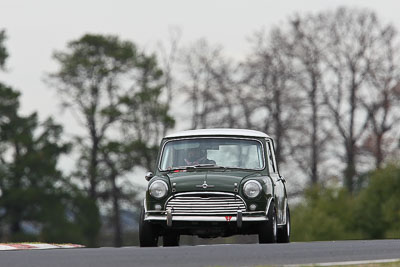 98;10-April-2009;1964-Morris-Cooper-S;Australia;Bathurst;FOSC;Festival-of-Sporting-Cars;Helen-Lindner;Mt-Panorama;NSW;New-South-Wales;Sports-Touring;auto;motorsport;racing;super-telephoto