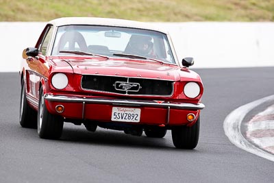 331;10-April-2009;1965-Ford-Mustang;Australia;Bathurst;FOSC;Festival-of-Sporting-Cars;Ian-Williams;Mt-Panorama;NSW;New-South-Wales;Regularity;auto;motorsport;racing;super-telephoto