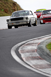 302;10-April-2009;1966-Ford-Mustang-Fastback;30366H;Australia;Bathurst;David-Livian;FOSC;Festival-of-Sporting-Cars;Mt-Panorama;NSW;New-South-Wales;Regularity;auto;motorsport;racing;super-telephoto