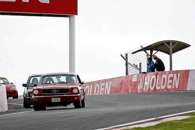 331;10-April-2009;1965-Ford-Mustang;Australia;Bathurst;FOSC;Festival-of-Sporting-Cars;Ian-Williams;Mt-Panorama;NSW;New-South-Wales;Regularity;auto;motorsport;racing;super-telephoto