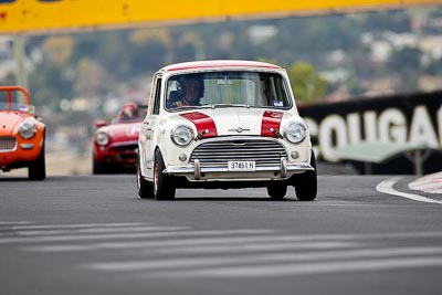 238;10-April-2009;1964-Mini-Cooper-S;37461H;Australia;Bathurst;FOSC;Festival-of-Sporting-Cars;Mt-Panorama;NSW;New-South-Wales;Regularity;Rob-Byrnes;auto;motorsport;racing;super-telephoto