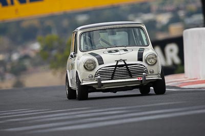 81;10-April-2009;1964-Morris-Cooper-S;Australia;Bathurst;FOSC;Festival-of-Sporting-Cars;Mark-Tett;Mt-Panorama;NSW;New-South-Wales;Sports-Touring;auto;motorsport;racing;super-telephoto