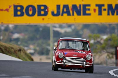 38;10-April-2009;1964-Austin-Cooper-S;Anthony-Ramadge;Australia;Bathurst;FOSC;Festival-of-Sporting-Cars;Mt-Panorama;NSW;New-South-Wales;Sports-Touring;auto;motorsport;racing;super-telephoto