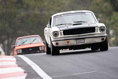 302;11-April-2009;1966-Ford-Mustang-Fastback;30366H;Australia;Bathurst;David-Livian;FOSC;Festival-of-Sporting-Cars;Mt-Panorama;NSW;New-South-Wales;Regularity;auto;motorsport;racing;super-telephoto