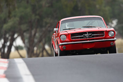122;11-April-2009;1964-Ford-Mustang;Australia;Bathurst;Bill-Trengrove;FOSC;Festival-of-Sporting-Cars;Historic-Touring-Cars;Mt-Panorama;NSW;New-South-Wales;auto;classic;motorsport;racing;super-telephoto;vintage