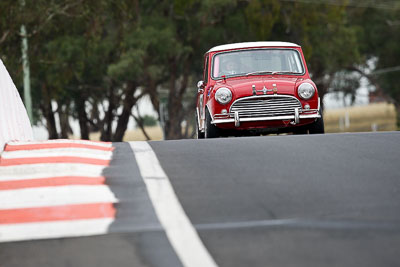 63;11-April-2009;1964-Mini-Cooper-S;Australia;Bathurst;FOSC;Festival-of-Sporting-Cars;Gavin-Matthews;Mt-Panorama;NSW;New-South-Wales;Regularity;auto;motorsport;racing;super-telephoto