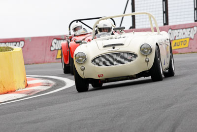 100;03399H;11-April-2009;1964-Austin-Healey-3000;Australia;Bathurst;FOSC;Festival-of-Sporting-Cars;Historic-Sports-Cars;Mt-Panorama;NSW;New-South-Wales;Peter-Jackson;auto;classic;motorsport;racing;super-telephoto;vintage