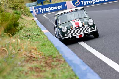 65;11-April-2009;1964-Morris-Cooper-S;Australia;Bathurst;Ben-Tebbutt;FOSC;Festival-of-Sporting-Cars;Mt-Panorama;NSW;New-South-Wales;Sports-Touring;auto;motorsport;racing;telephoto