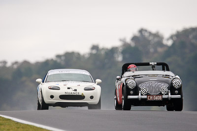 921;11-April-2009;1955-Austin-Healey-1004;Australia;Bathurst;CH0408;FOSC;Festival-of-Sporting-Cars;Geoff-Leake;Marque-and-Production-Sports;Mt-Panorama;NSW;New-South-Wales;auto;motorsport;racing;super-telephoto