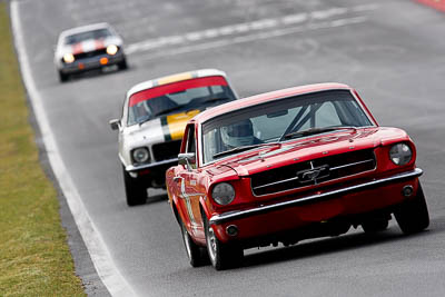 122;12-April-2009;1964-Ford-Mustang;Australia;Bathurst;Bill-Trengrove;FOSC;Festival-of-Sporting-Cars;Historic-Touring-Cars;Mt-Panorama;NSW;New-South-Wales;auto;classic;motorsport;racing;super-telephoto;vintage