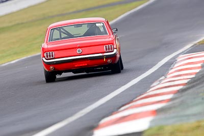 122;12-April-2009;1964-Ford-Mustang;Australia;Bathurst;Bill-Trengrove;FOSC;Festival-of-Sporting-Cars;Historic-Touring-Cars;Mt-Panorama;NSW;New-South-Wales;auto;classic;motorsport;racing;super-telephoto;vintage