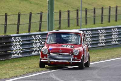 38;12-April-2009;1964-Austin-Cooper-S;Anthony-Ramadge;Australia;Bathurst;FOSC;Festival-of-Sporting-Cars;Mt-Panorama;NSW;New-South-Wales;Sports-Touring;auto;motorsport;racing;super-telephoto