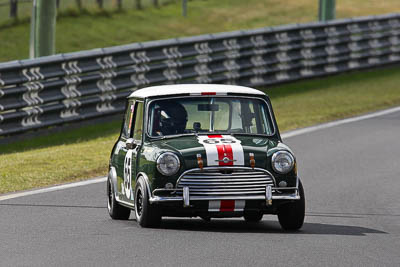 65;12-April-2009;1964-Morris-Cooper-S;Australia;Bathurst;Ben-Tebbutt;FOSC;Festival-of-Sporting-Cars;Mt-Panorama;NSW;New-South-Wales;Sports-Touring;auto;motorsport;racing;super-telephoto