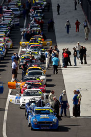 19;12-April-2009;1974-MGB-GT-V8;Australia;Bathurst;FOSC;Festival-of-Sporting-Cars;Glen-Taylor;Marque-and-Production-Sports;Mt-Panorama;NSW;New-South-Wales;auto;motorsport;racing;super-telephoto