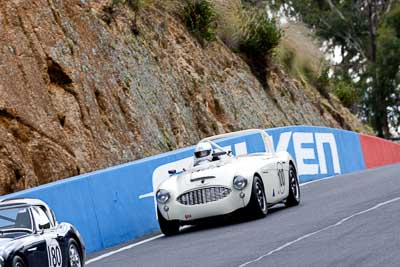 100;03399H;12-April-2009;1964-Austin-Healey-3000;Australia;Bathurst;FOSC;Festival-of-Sporting-Cars;Historic-Sports-Cars;Mt-Panorama;NSW;New-South-Wales;Peter-Jackson;auto;classic;motorsport;racing;super-telephoto;vintage