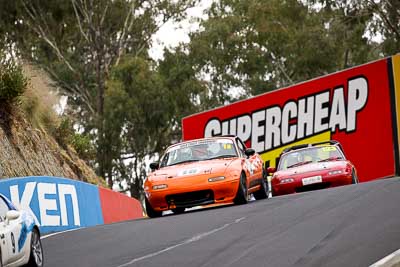 18;12-April-2009;1996-Mazda-MX‒5;Australia;Bathurst;FOSC;Festival-of-Sporting-Cars;Marque-and-Production-Sports;Mazda-MX‒5;Mazda-MX5;Mazda-Miata;Mt-Panorama;NSW;New-South-Wales;Robin-Lacey;auto;motorsport;racing;super-telephoto