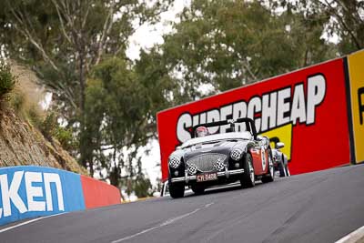 921;12-April-2009;1955-Austin-Healey-1004;Australia;Bathurst;CH0408;FOSC;Festival-of-Sporting-Cars;Geoff-Leake;Marque-and-Production-Sports;Mt-Panorama;NSW;New-South-Wales;auto;motorsport;racing;super-telephoto